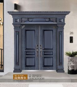 2021康神大门KS-Z2209富贵普尔