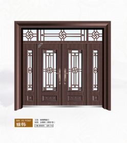 2021康神大门KS-P2567雅韩