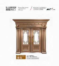 2021康神大门KS-P2550雅菱
